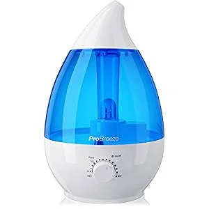 découvrez notre humidificateur d'hiver, l'accessoire idéal pour maintenir un air sain et confortable dans votre intérieur pendant la saison froide. profitez d'une atmosphère agréable, réduisez les risques de sécheresse cutanée et améliorez votre bien-être général grâce à notre humidificateur performant et silencieux.