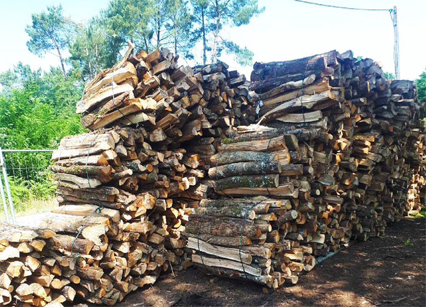 découvrez notre sélection de bois de chauffage à montfort, idéale pour réchauffer votre foyer tout en préservant l'environnement. qualité premium, livraison rapide et service client à votre écoute.