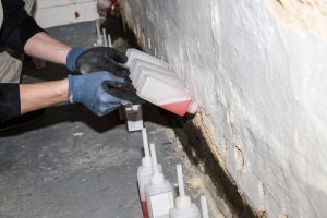 apprenez à prévenir les moisissures dans une cave humide grâce à des conseils efficaces pour assainir l'air, contrôler l'humidité et protéger vos murs.